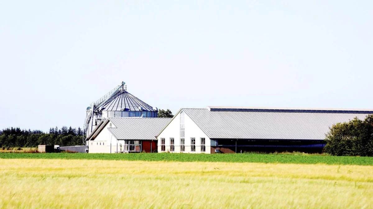 Hvordan udregnes og bestemmes restlevetider for landbrugsbygninger? Det vil Landbrug & Fødevarer nu gå videre til Højesteret med efter en tabt sag ved Landsretten. Foto: Colourbox

