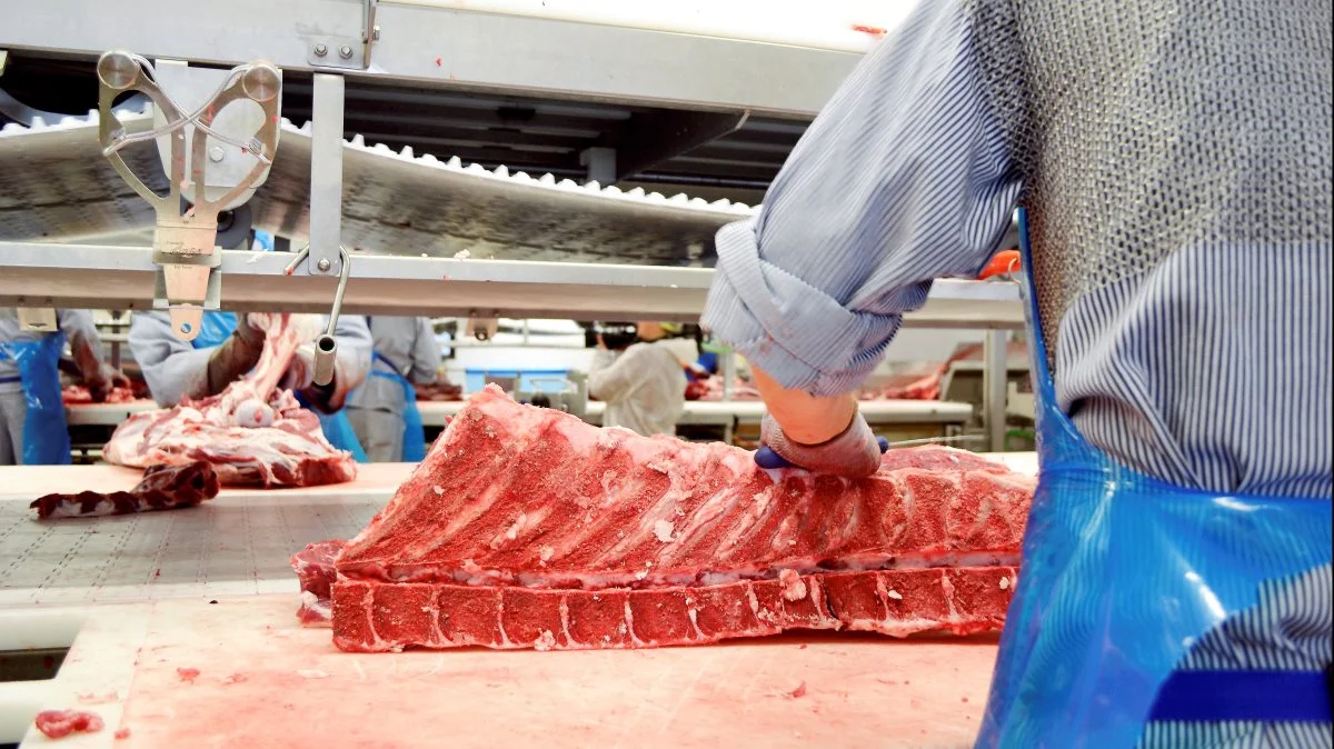 Trods opbemsningen i de stigende priser på oksekød i den kommende uge, er der stadig et stærkt salg fra Danish Crown Beef's slagterier. 