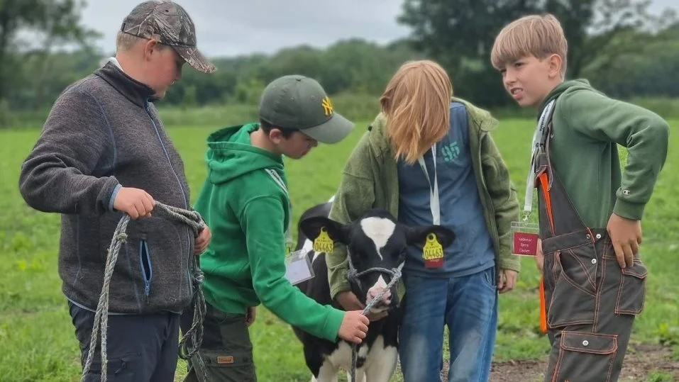 FarmerCamp på Kjærgård Landbrugsskole handler også om dyr og hvordan de håndteres.
