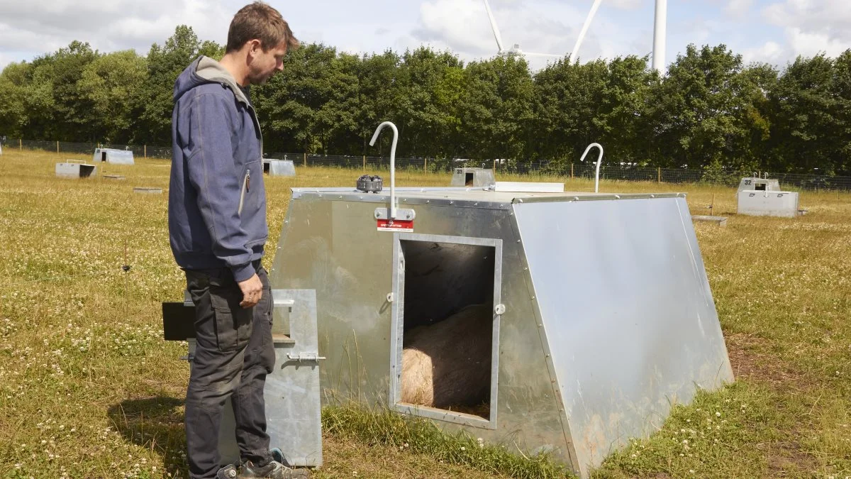 - Det er virkelig godt med to ens låger, en i hver ende. Både i forhold til ventilation, vi kan komme til soen og smågrisene, men også sikkerhed for medarbejderne, siger griseproducent Allan Nørgaard.