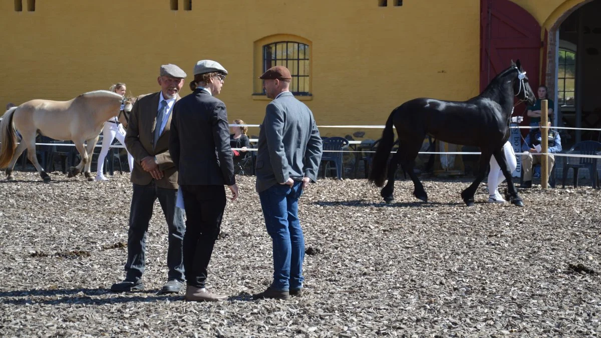 Dommerne Reno Olesen (th), Martin Block og Benny Hansen måtte lige overveje en ekstra gang, inden de sidste tre i konkurrencen »Best In Show« skulle rangeres.