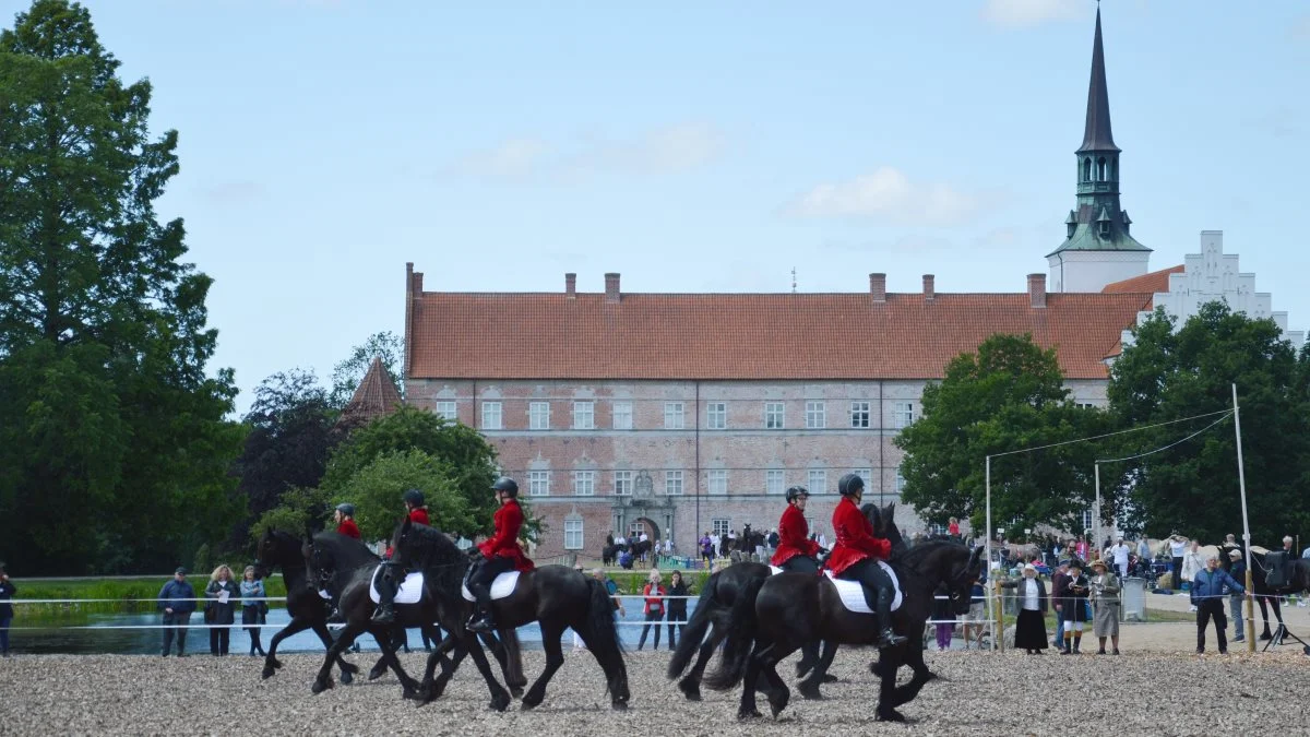 Friser Fyn Showgruppe gav en imponerende kvadrilleopvisning. 