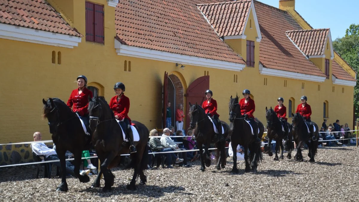 Ekvipagerne var: Formand for Brahetrolleborgforeningen Tina Kirkegaard Eriksen på vallakken Tibbe van de Meerbos, Sophie Hoffman på Dauwe van de Schans, Louise Lindberg Mortensen på Xira Af Sortemosegaard, Birthe Mogensen på Werner, Charlotte Kaa Westerled på Luna fan de Neel og Lisbeth Mølgaard på Marquis Kibenich.

