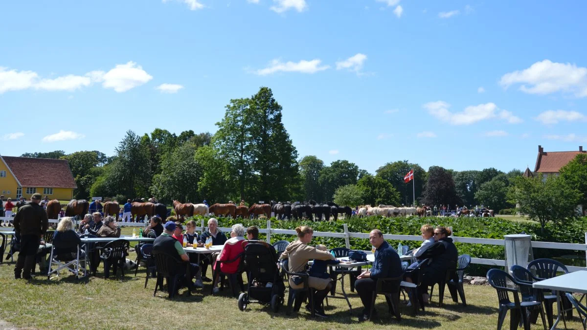 Publikum havde mulighed for at nyde frokosten med udsigt til både opvisningsbane, slottet og de udstillede heste.