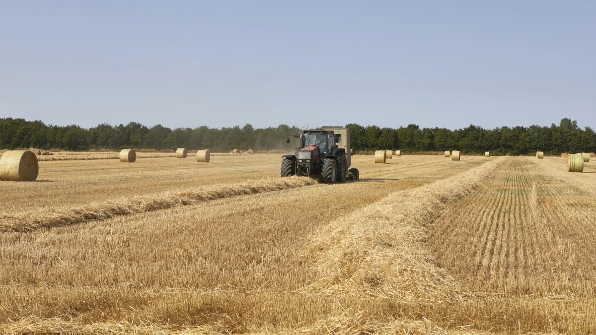 Bent Juul Sørensen indførte rundballer i 1984 som den første på Ærø. Siden 2009, hvor John Deere-presseren blev anskaffet, har han presset over 28.000 rundballer til sin jerseybesætning. Vinterbyggen er udelukkende to-radede sorter for at opnå den bedste halmkvalitet. 