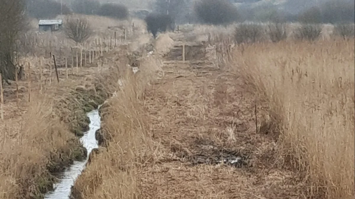 - Det er især Natura 2000-områder og tilskudsprojekter, vi laver mest af, fortæller Anders Maagaard Klint. 