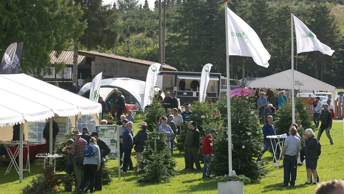 Langesømessen 2021. I år forventes endnu større opbakning, når messen løber af stablen torsdag den 18. august. Arkivfoto