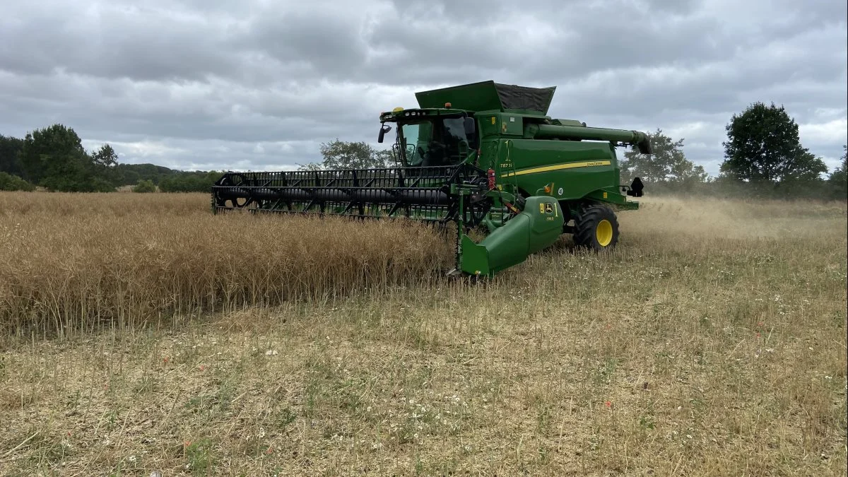 Gavnø Gods' to 30-fods John Deere mejetærskere T670i har støt og roligt arbejdet sig igennem godsets over 100 hektar raps. Og når de allersidste hjørner er høstet, vil de snart arbejde sig videre gennem resten af godsets afgrøder, der i år omfatter 250 hektar vårbyg, 350 hektar vinterhvede og 90 hektar hybridrug. Privatfoto