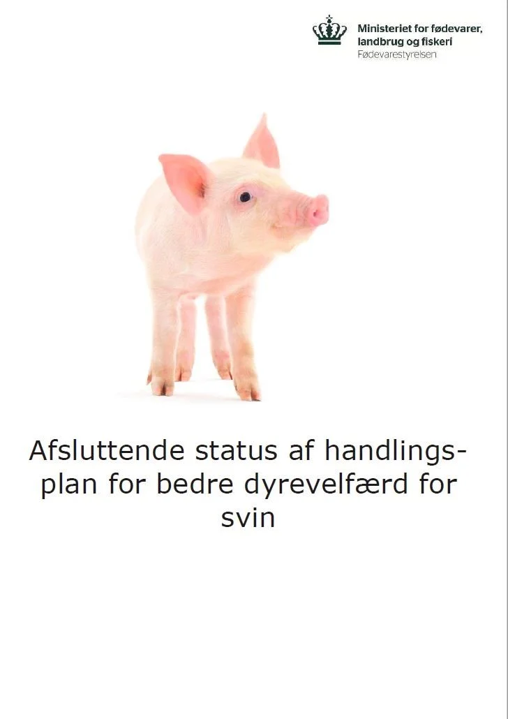 Sådan ser den afsluttende status ud, som Fødevarestyrelsen har lavet for Handlingsplan for bedre dyrevelfærd for svin (2015-2020), som blev lanceret i 2014 af daværende fødevareminister Dan Jørgensen (S). Den afsluttende status er baseret på den fjerde evaluering af handleplanen, som udkom i 2019.