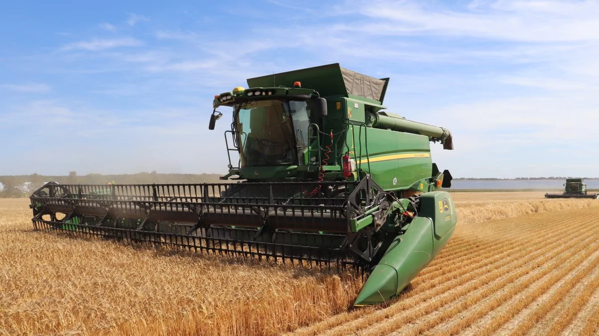 På Gavnø Gods kører de to 30 fods John Deere-mejetærskere torsdag middag i vårbyg af sorten Laureate.