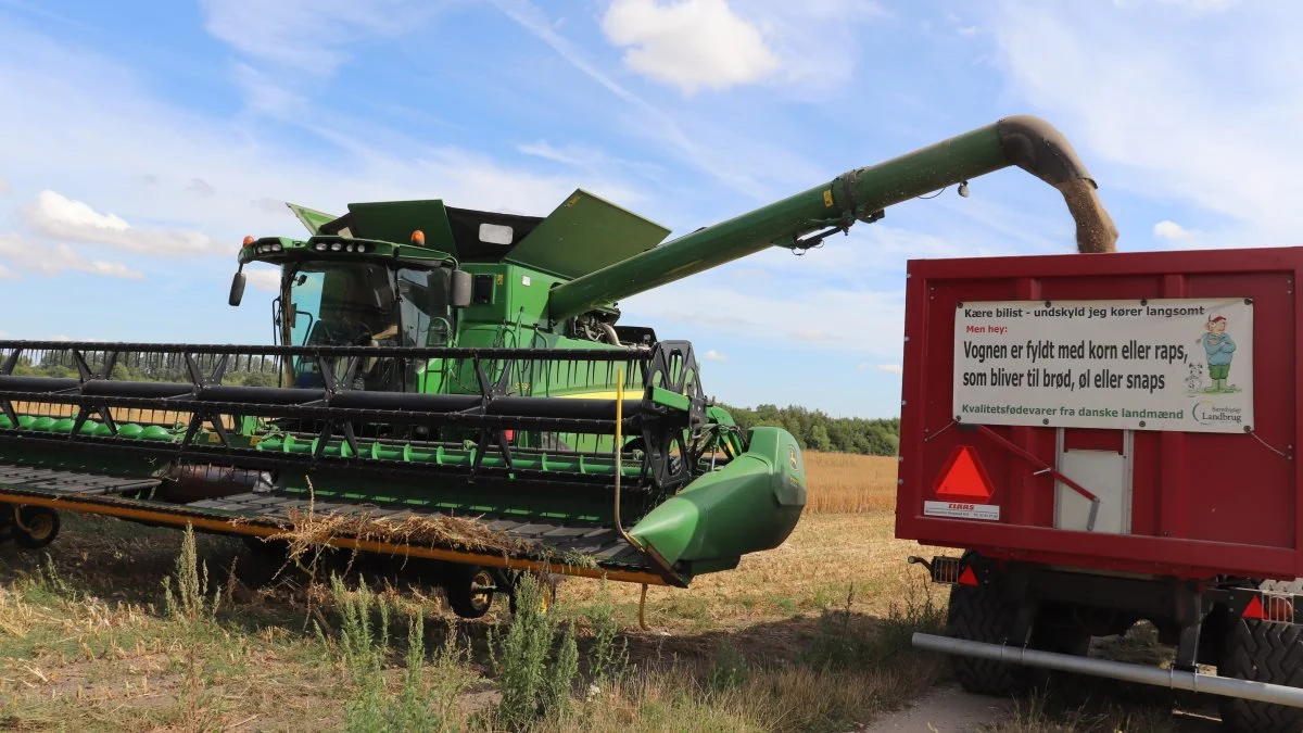 - Vores spinat har ved indeks 100 et udbytte på 1.600 kg/ha ved en vandprocent på 11 procent, fortæller Henning Nielsen, der her læsser første tankfuld af.