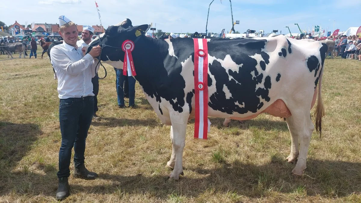 Skuets bedste Holstein-ko blev kat. 119 – Koen 49971-08830 fra Vinum Dairy, Vinum Skærbæk. Foto: John Ankersen