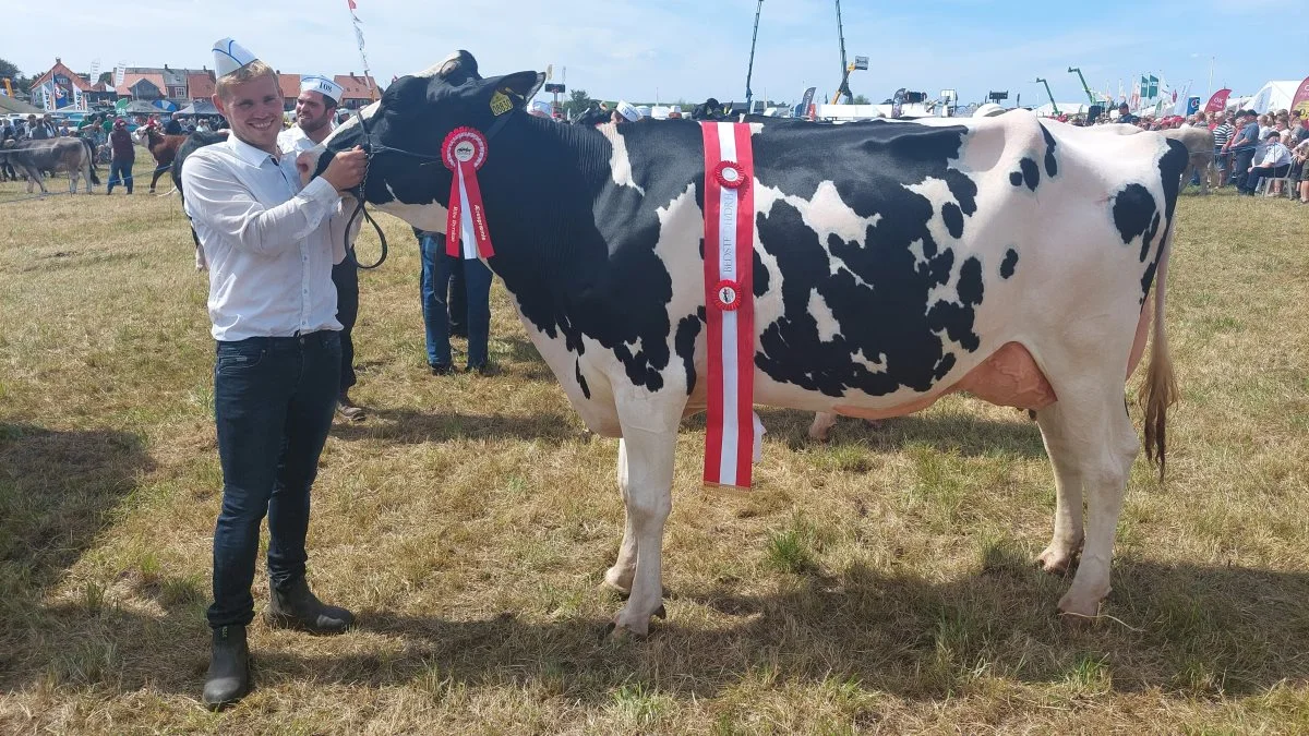 Skuets bedste Holstein-ko blev kat. 119 – Koen 49971-08830 fra Vinum Dairy, Vinum Skærbæk. Foto: John Ankersen