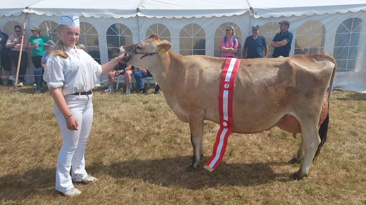 Superko-titlen inden for Jersey gik til Kat. Nr. 177 – Koen 55982-02283 fra Sønderfenner, Ø. Vedsted, Ribe. Foto: John Ankersen