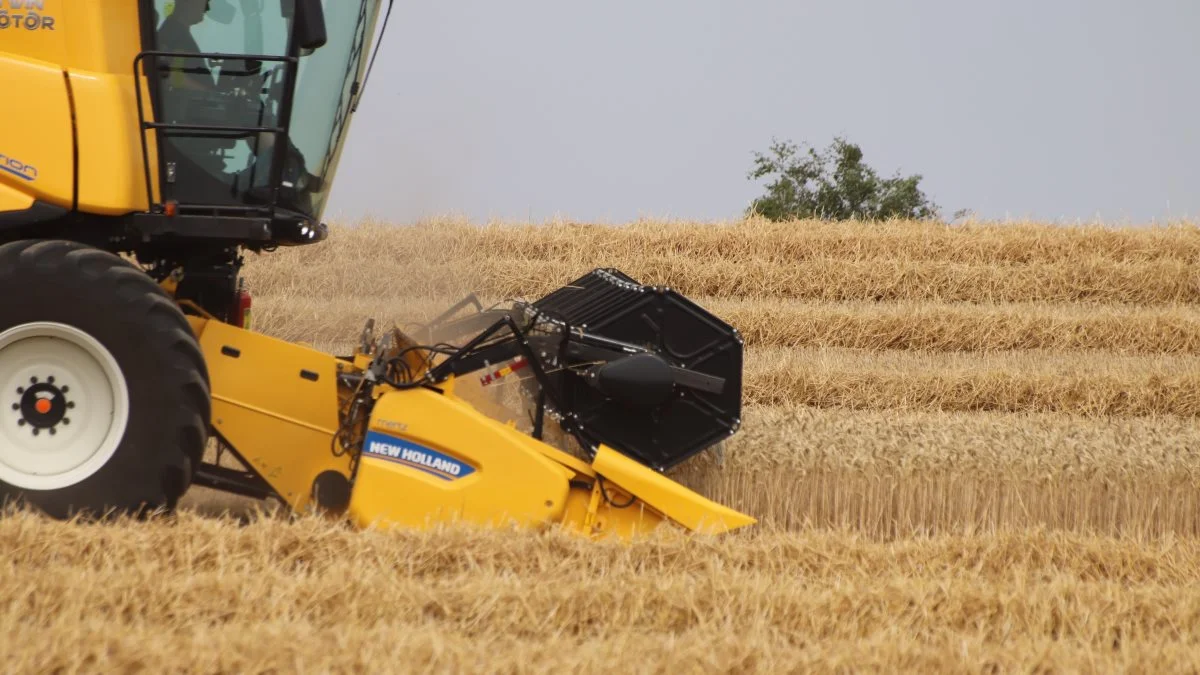 - Dem, vi har melding fra i det fynske, og som har prøvet til i hveden, er kommet ud med plus 20 procent i vand. Så de er stoppet igen, fortæller Michael Lorentzen, Danish Agro på Fyn. Fotos: Jørgen P. Jensen