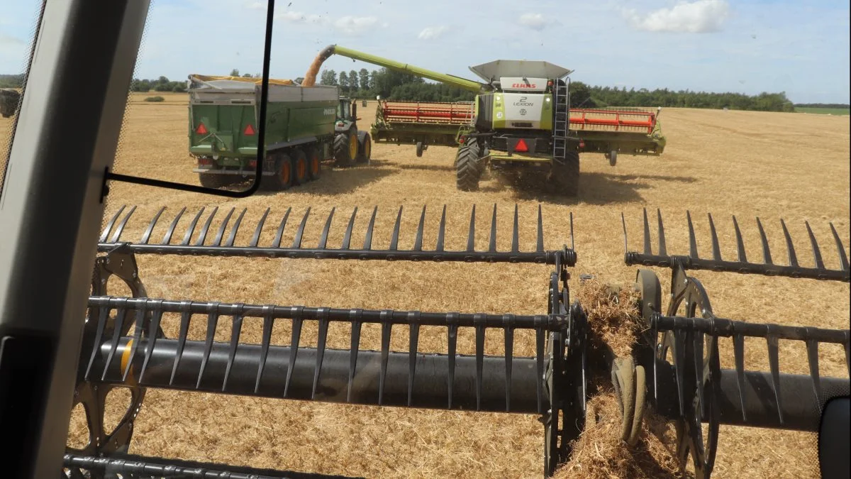 I går mandag blev der ikke høstet nogen steder i Danmark, vurderer man i Danish Agro ved 15-tiden mandag. 