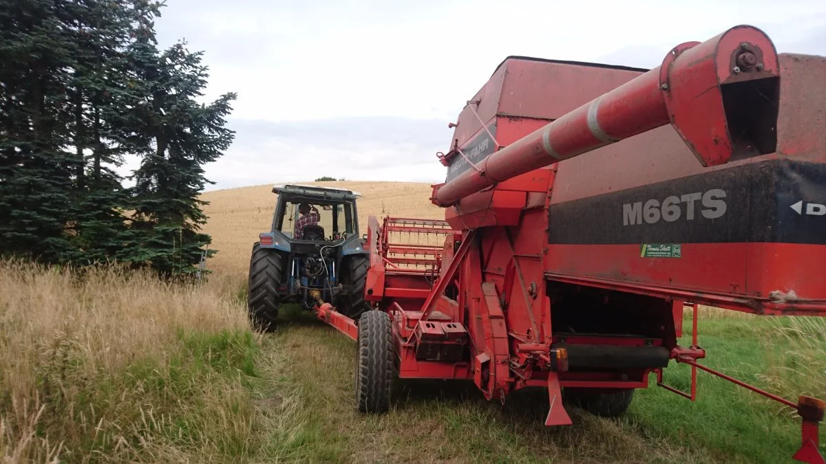 En Ford 8240 sikrer, at trækkraften er i orden, når der køres med den bugserede Deutz-Fahr M66TS fra 1986 i det kuperede terræn, som er en realitet i flere af Moselunds marker ved Lakkendrup på Sydfyn.  Privatfoto