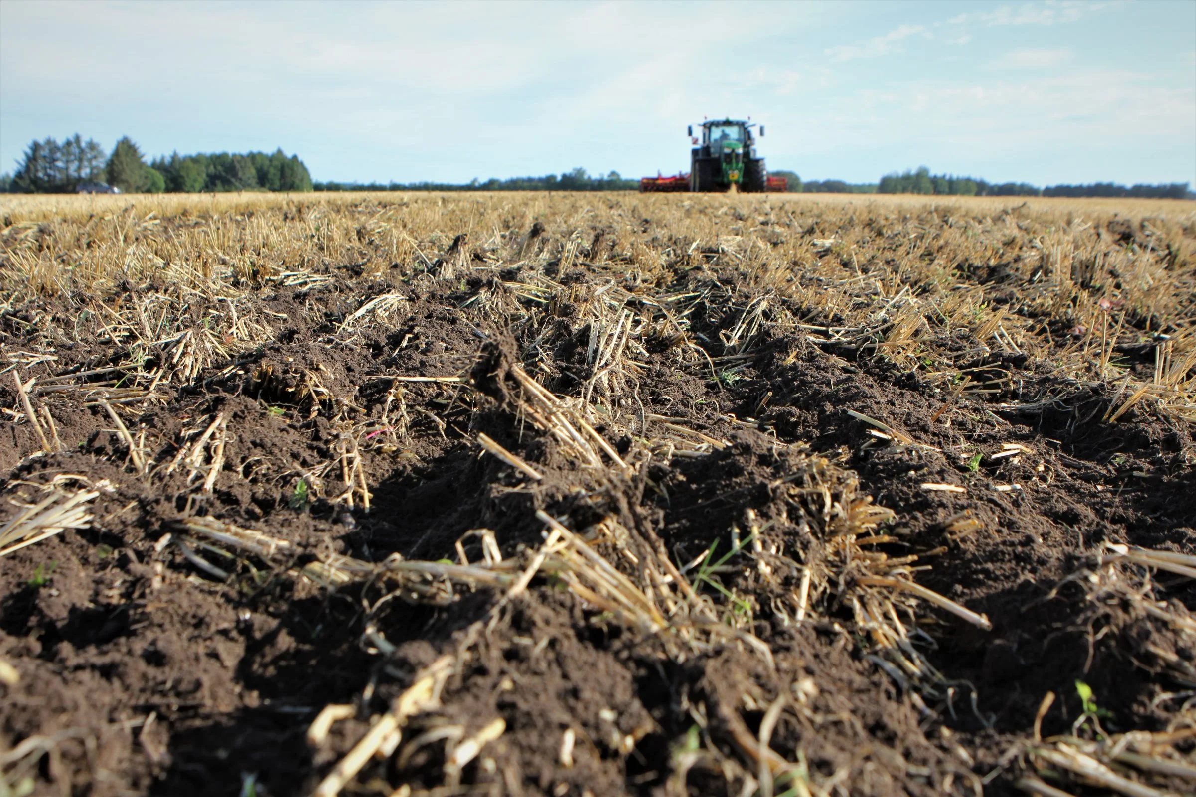 Väderstad Carrier-harven med crosscutter-tallerkener sikrer ifølge Kenneth Jensen, driftsleder ved K/Agro, næsten fuld gennemskæring allerede ved halvanden til to centimeters arbejdsdybde. Derfor er den optimal til at lave falsk såbed. Foto: Kasper Stougård 