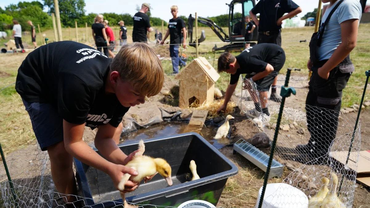 På FarmCampen blev der etableret en minibondegårde med blandt andet mark, vandhul, gangsti, indhegning og hus til de ænder, som flyttede ind sidst på ugen.