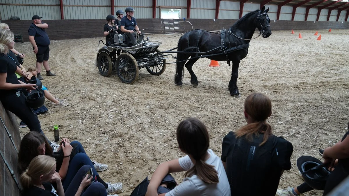 I hestestalden havde deltagerne på Dalum HorseCamp besøg af blandt andet Fyens Køreselskab.