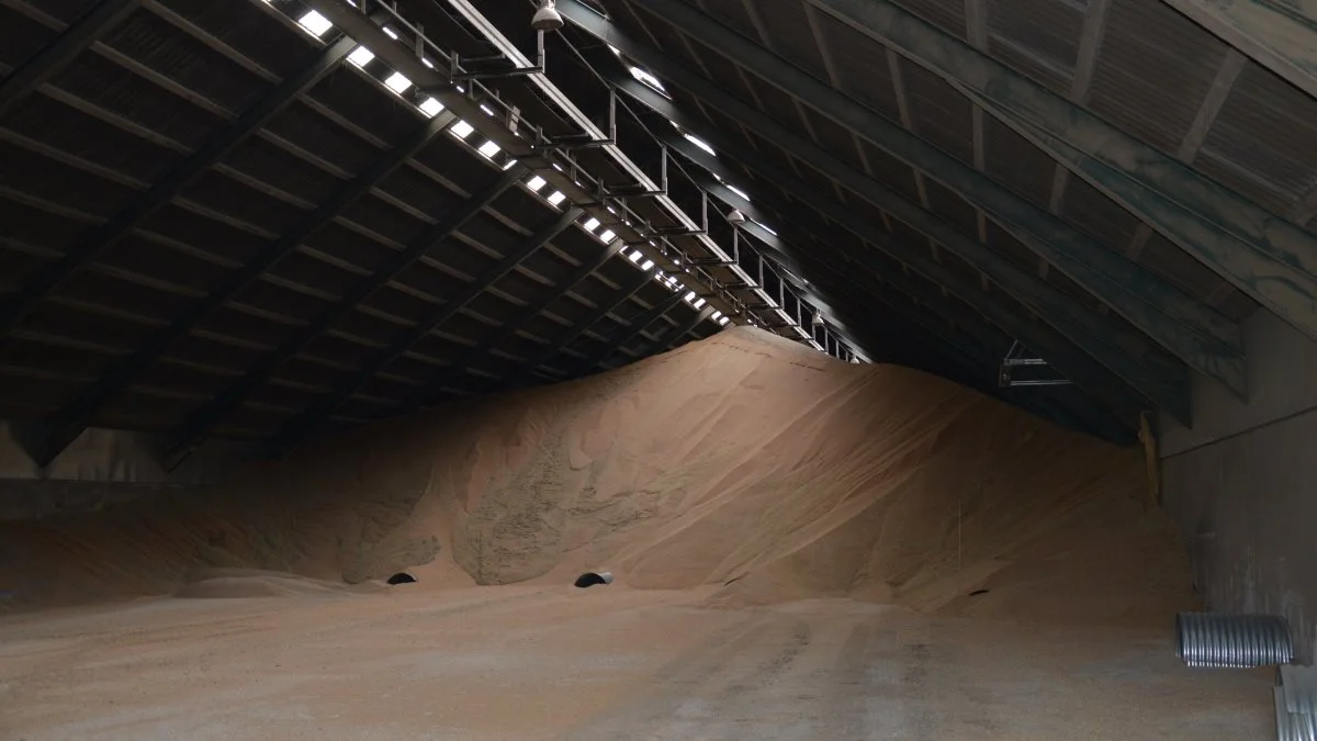 Ifølge Jyske bank er hovedbegivenheden for ugen fredagens WASDE. Fokus vil blandt andet være på udbyttet af majs og sojabønner efter tidligere indikationer i US viste faldende udbytte af sojabønner. Foto: Camilla Bønløkke