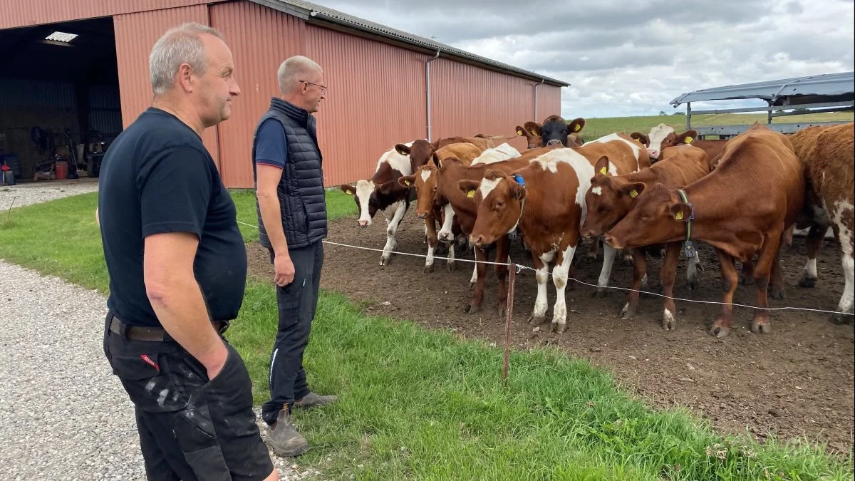 Formand for Udvalget for Planter og Natur Peter Poulsen på besøg hos Gert Aude. Foto: Djursland Landboforening