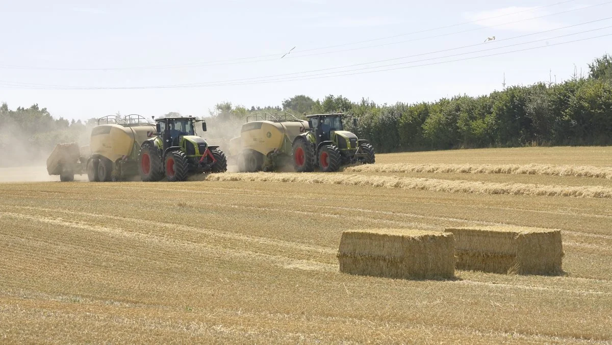 Med den tørre halm er det vanskeligt at opnå basisvægten på 550 kg i 90x120 ballerne. Til gengæld går halmbjærgningen strygende her i sommervarmen, hvor to af Halm 80’s otte pressere ses i arbejde på Egeskov Gods. Fotos: Erik Hansen
