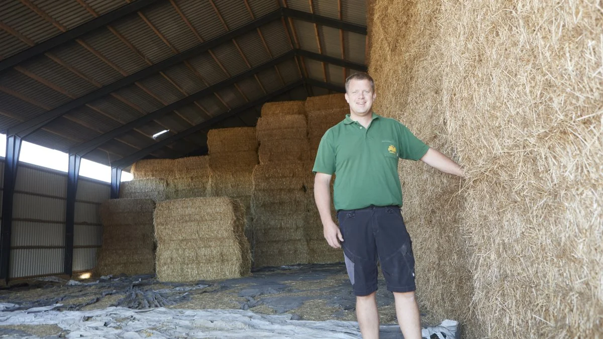 - Halmen, vi leverer til Fynsværket, belønnes nu med 10 øre ekstra for energiindholdet, fortæller halmleverandør Christopher Jensen. I alt skal Halm 80 ApS levere 30.000 tons halm i ny sæson til kraftvarmeværket i Odense og yderligere 30.000 tons på kontrakt til andre værker.