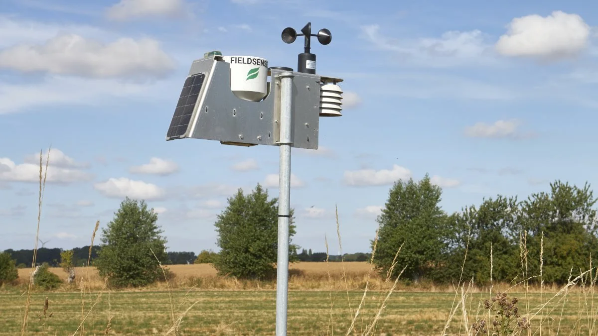 Fieldsense vejrstationen hos Halm 80 viser, at der de seneste fire uger kun er faldet 12,75 millimeter regn i området.