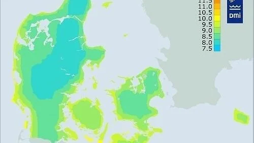 Vejrforholdene i efteråret og vinterens løb har stor betydning for, hvor meget angrebene kan nå at brede sig. Middeltemperatur i efterårene 1961-90. Kilde: Danmarks Meteorologiske Institut