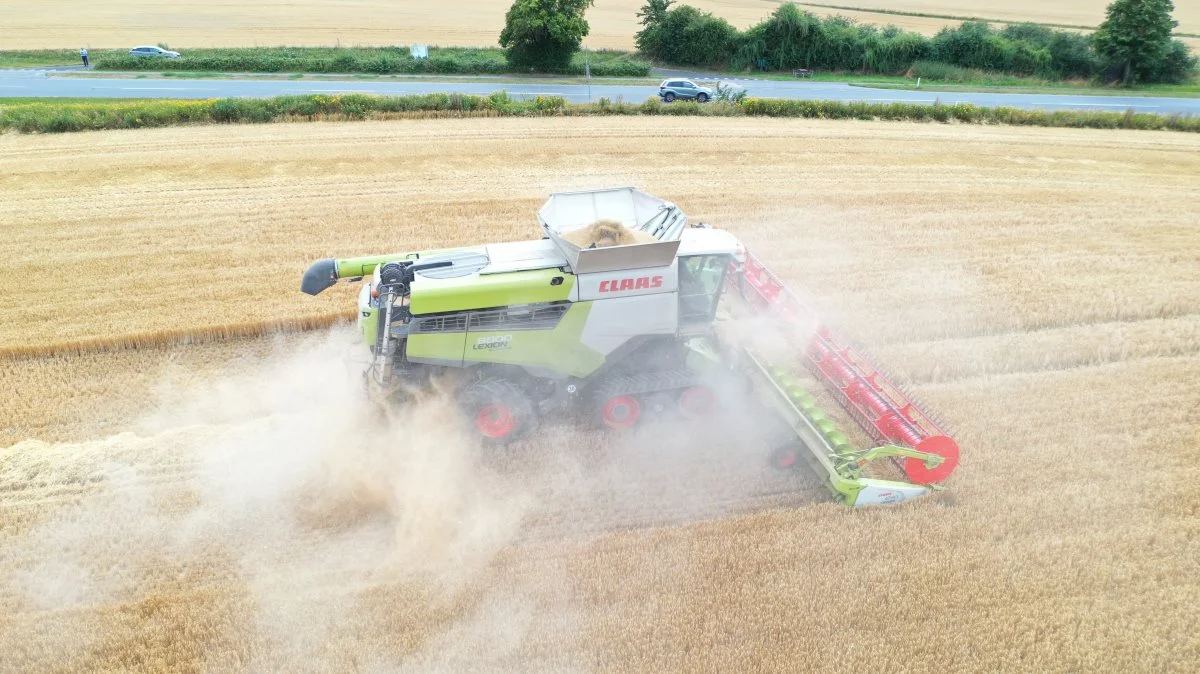 Claas Lexion-mejetærskerne har fået en teknologiopdatering til høstsæson 2023. Blandt andet har alle tærskerne fået ny kabine, mere motorkraft samt et nyt familiemedlem, Lexion 8600. På billedet er det en Lexion 8800, der har kørt testkørsel i Danmark i år. Foto: Per Jørgensen