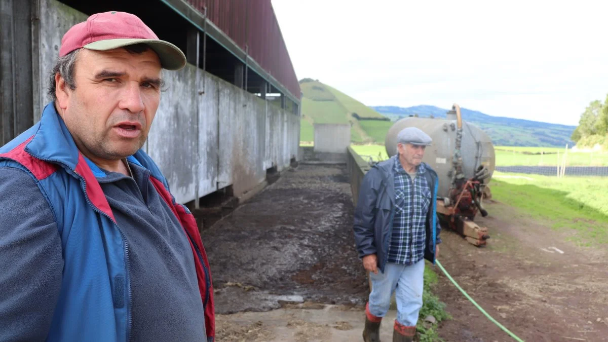Farmen ejes endnu af brødrenes 75-årige far, der stadig arbejder, og hvis far købte farmen i sin tid. 