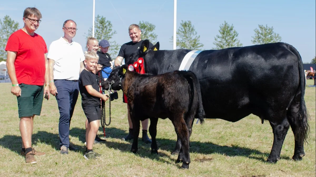 Miss Aulum: Ølands Nicoline, angusko fra Ølands Angus, Nibe og vinder af juniormønstring kødkvæg, Malthe Vejsmann. Foto: Jesper Kjær Jørgensen
