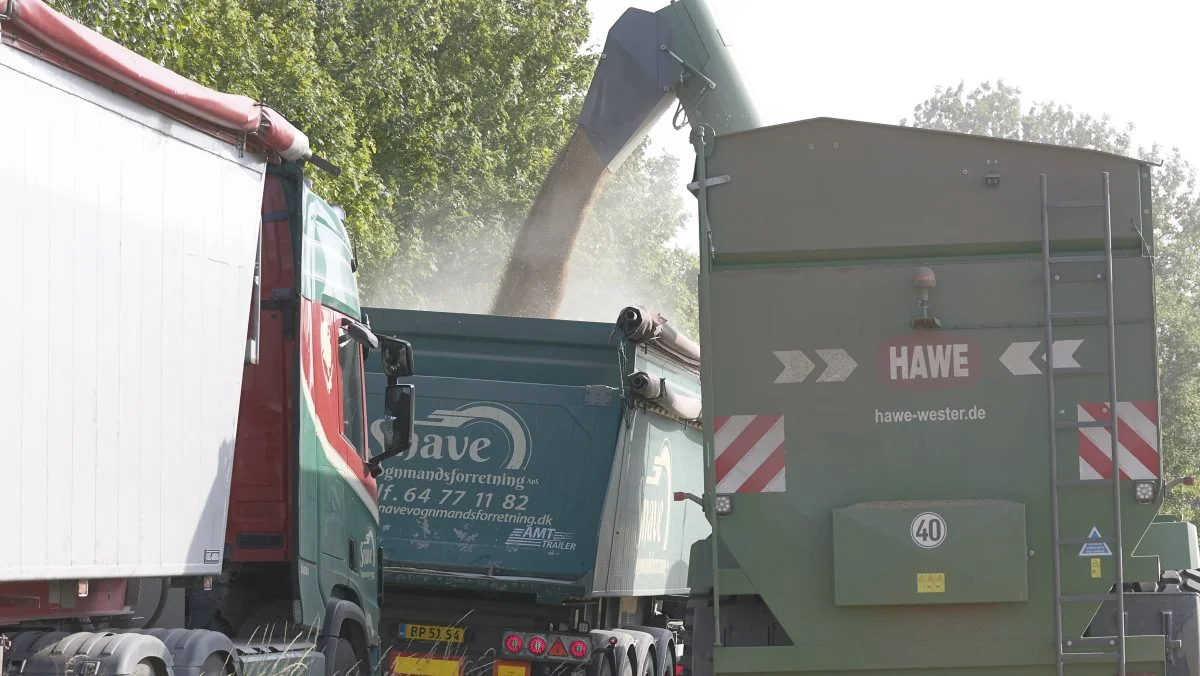 To sneglevogne sørger for at fragte hveden fra de tre mejetærskeres 11.100 liters korntanke til lastbilerne på vejen langs marken. Sneglevognene rummer op til 38 tons og har indbygget vægt, som nøjagtig vejer mængden, der aflæsses på få minutter. I alt fire lastvogne fra Snave Vognmandsforretning klarer transporten af kornet til anlægget på Rubjerg ved Egeskov.  
 
