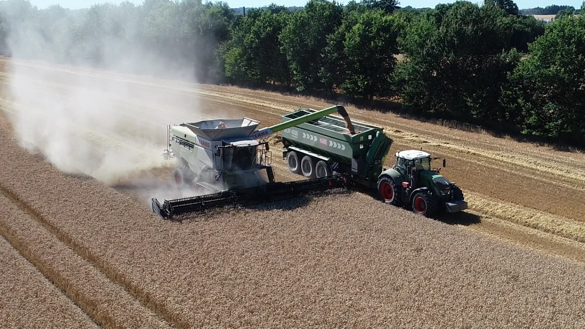 Hveden satte ny rekord på Ravnholt og Egeskov i denne sæson. Helt præcis blev udbyttet på godsernes omkring 600 ha på 10.560 kg pr. hektar, og for hele Agro-Alliancens hvedeareal i gennemsnit 10.356 kg, oplyser direktør Bo Jensen, efter den sidste mark var høstet mandag aften. Foto: Jens-Christian Stuwitz, Agro-Alliancen