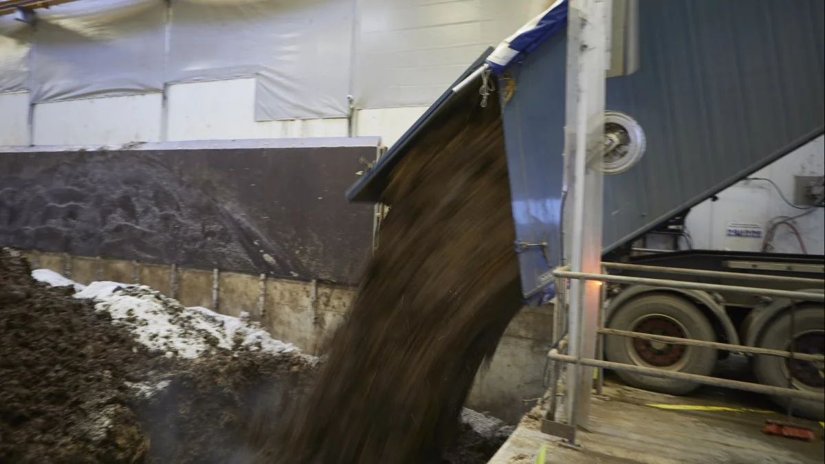 En af anbefalingerne til biogasanlæggene lyder på, at de skal sørge for, at indtransport og aflevering af gødning eller dybstrøelse sker på en måde, der sikrer, at materialet ikke bliver spildt på kørselsarealer. Arkivfoto: Erik Hansen