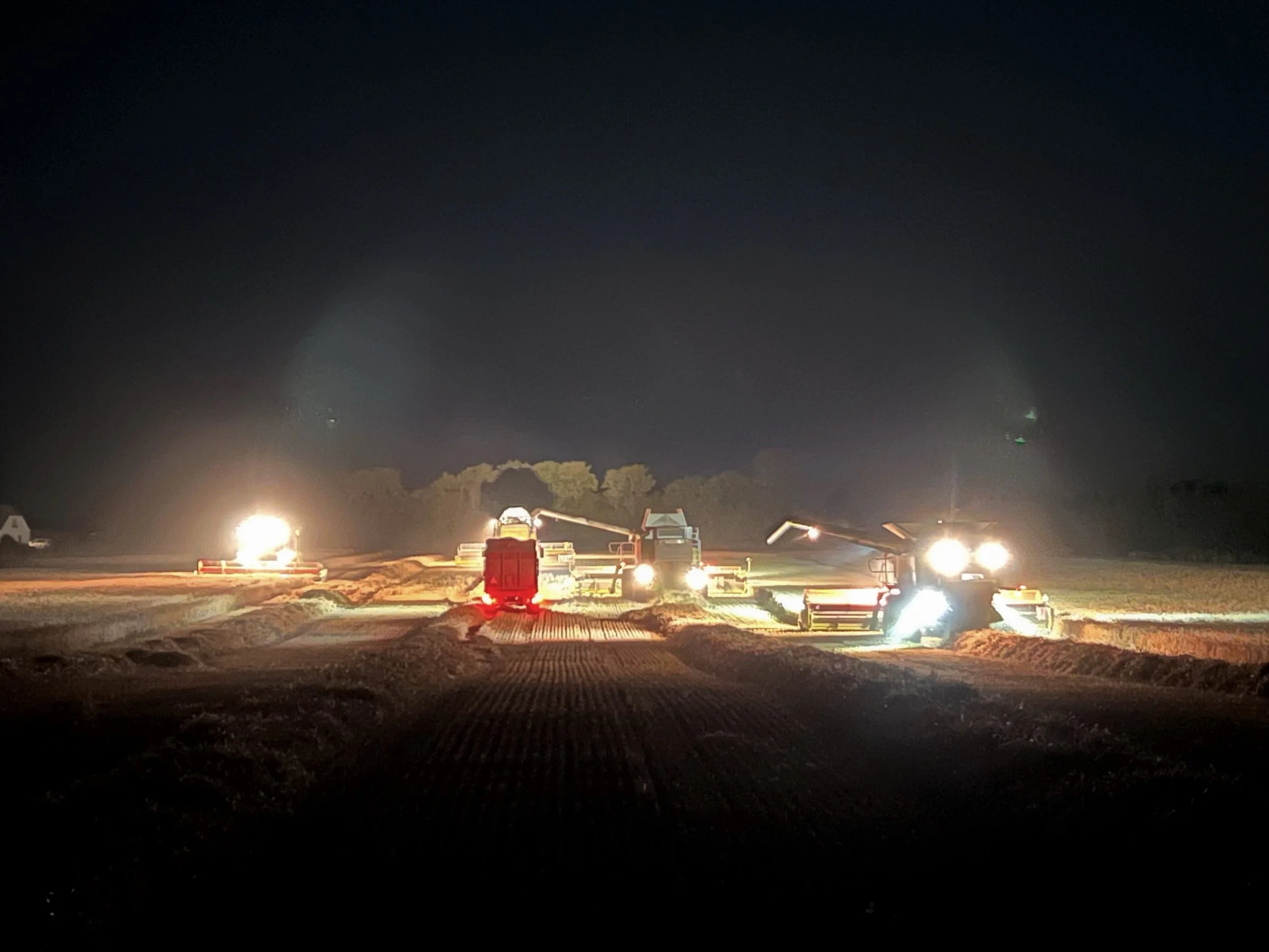 Når markstørrelserne er til det, samles alle fire mejetærskere på én mark. Som sent mandag aften, hvor der blev høstet hvede, mens regnen truede i vejrudsigten. Foto: Niels Brocks Østergaard