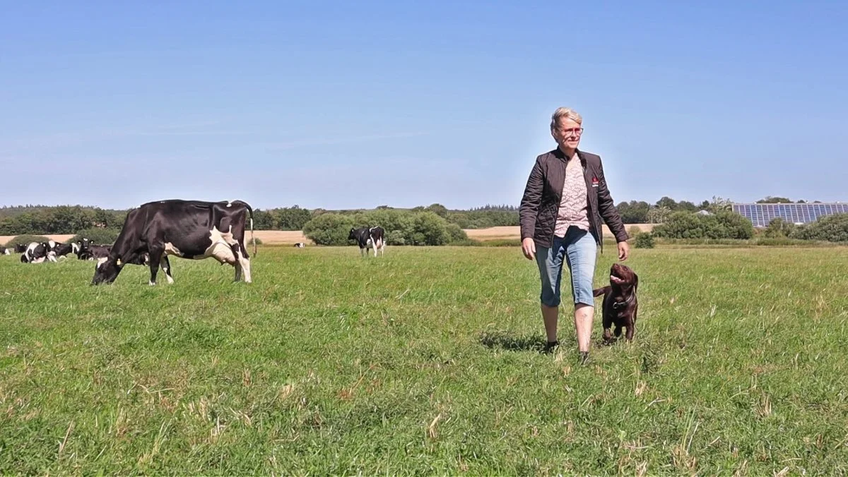 Jeg synes, at det er utroligt vigtigt, at det er en familie, der ejer landbrugsjorden, hvor vi jo har vores drikkevand og sikrer biodiversitet og klima og laver vores fantastiske kvalitetsfødevarer. Vores spisekammer i Danmark er rigtigt meget værd. Og Familielandbruget går meget op i, at det forbliver hovedsageligt på danske hænder., siger Lone Andersen, som er formand for Familielandbruget