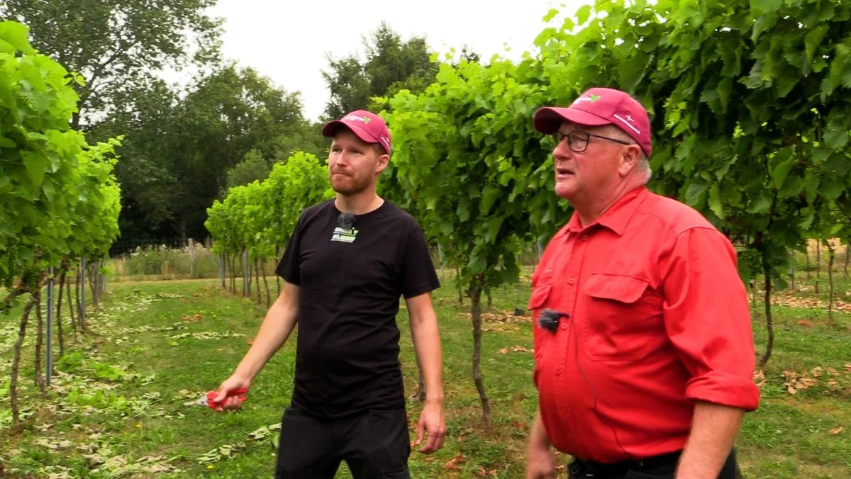 - Selvom det er en familiehandel, og alle har været enige, så er der rigtig mange ting, vi aldrig ville vide, hvis ikke Agri Nord havde hjulpet med det, fortæller Claus, som i 2020 overtog faren Simons og moren Ingrids Tuemosegård ved Haslev på Sjælland.