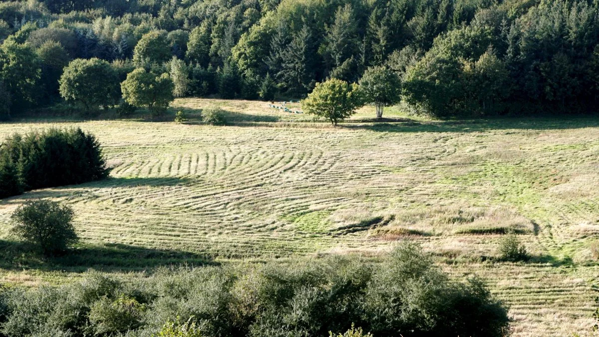 Foto: Bøje Østerlund