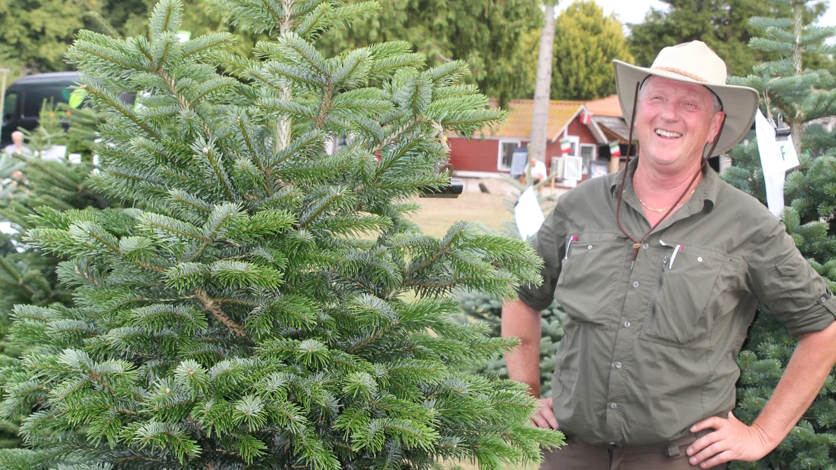 Vinder af årets pæneste juletræ blev Jørgen Bang fra Nibe.