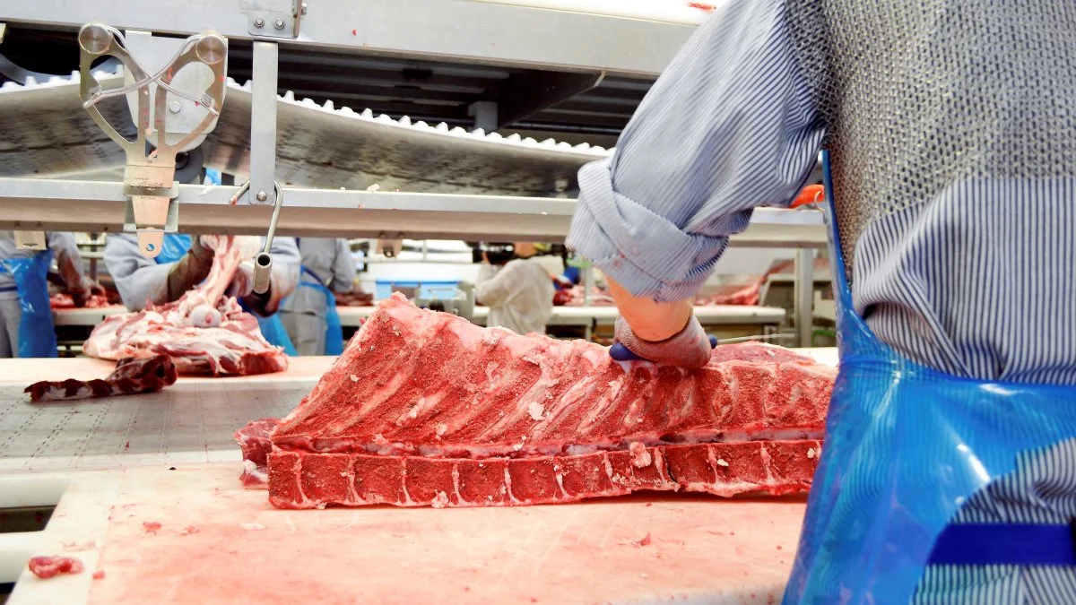 Mens forbruget i Danmark er en smule vigende, ser det dog stadig fornuftigt ud på tværs af forretningen, skriver Danish Crown Beef i en markedskommentar.