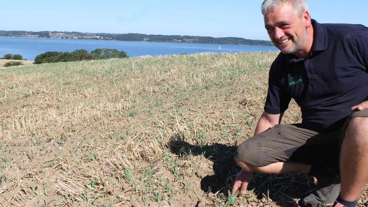 - Det er uden beregning, når personalet kører her, siger Jens Pedersen med et glimt i øjet med henvisning til den storslåede udsigt fra Dynagros marker på Sundeved. 