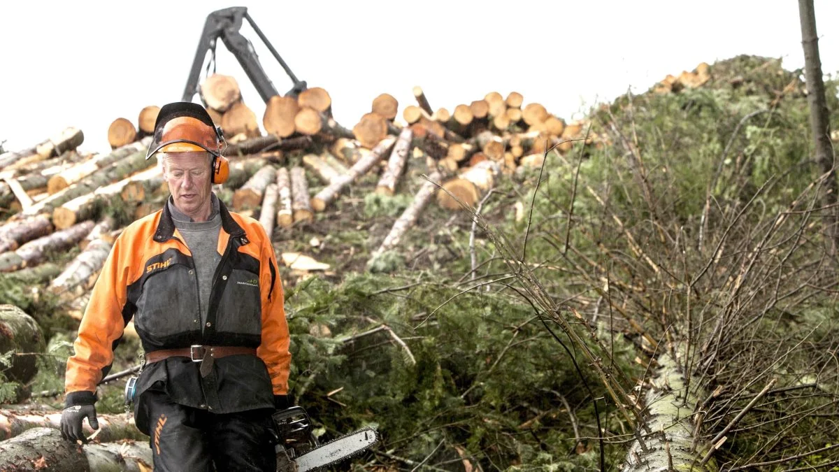 Korrekt brug af håndkraft, maskinkraft og korrekt sortering i kombination med erfaring og faglighed er afgørende for, at skovejeren opnår det bedste udbytte og tager hensyn til både pengepung, klima og miljø, mener HedeDanmark. Fotos: HedeDanmark.