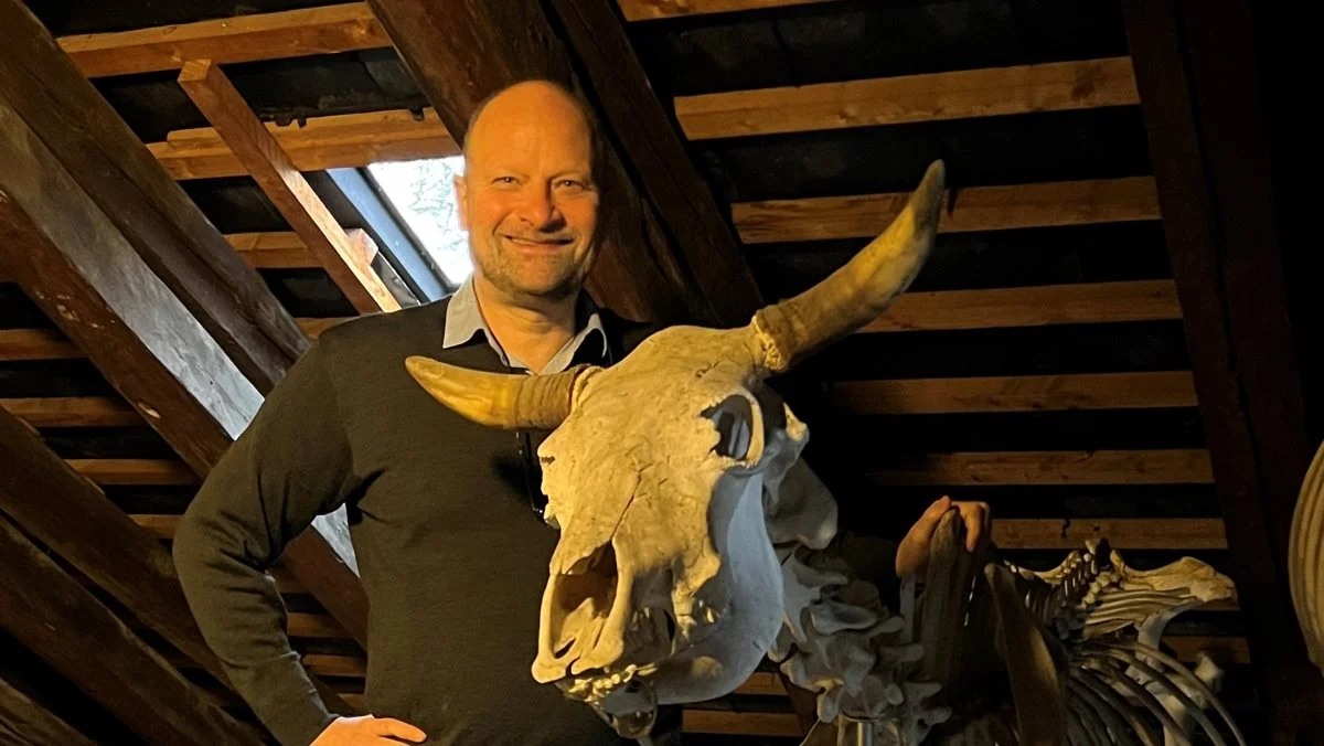Bernt Guldbrandtsen, der er professor i husdyravl, står her ved skellettet af den engang berømte Kongepræmietyr fra Gunderslevholm. Foto: Stig Benzon