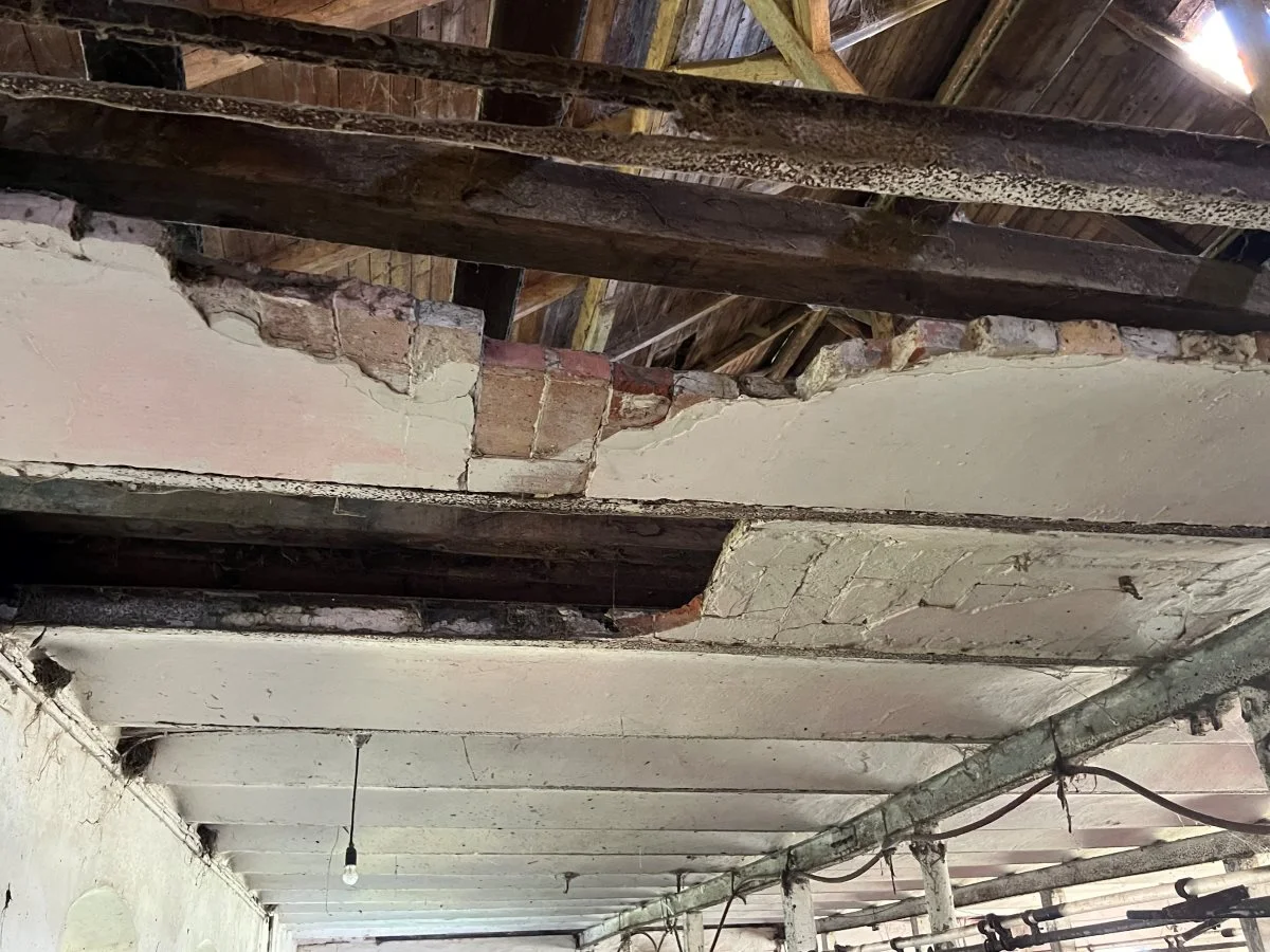 Tilstanden på en af de stalde, som huser tilbageværende eksemplarer af Rød Dansk Malkekvæg. Foto: Stig Benzon