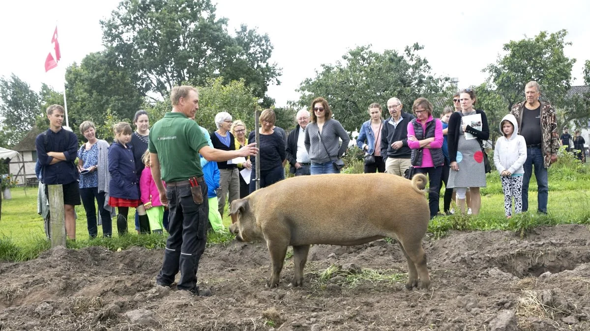 Økologisk Høstmarked fra et tidligere år hos Nørremadegaard i Rynkeby. Arkivfoto