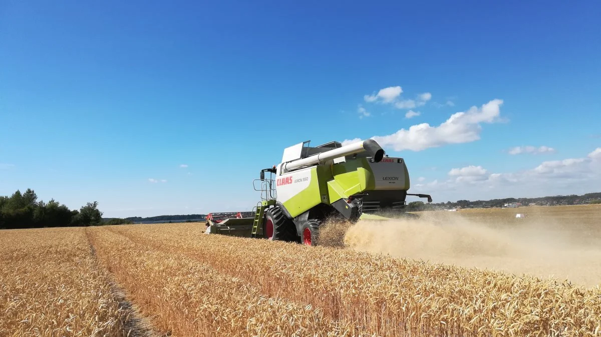 Danish Agro Machinery tilbyder nu afdragsfrihed i 12 måneder på alle Claas-produkter, der er købt inden 31. januar 2019. Arkivfoto.