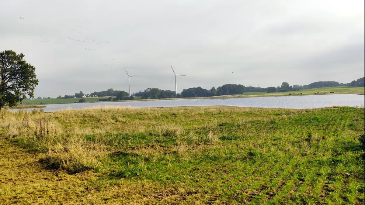 - Bæredygtigt Landbrug har gentagne gange advaret imod udtagning af lavbundsjord og vådlægning af produktionsjord. Det er hverken økonomisk, miljømæssigt eller klimamæssigt en god ide, mener Peter Bohsen Jensen. Arkivfoto