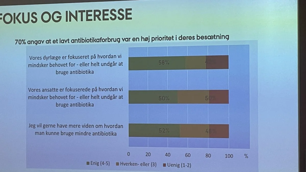 Undersøgelsen viste, at 70 procent prioriterede reduktion af antibiotikaforbruget højt i deres besætning, at omkring hver anden ejer mente, at henholdsvis dyrlæge og ansatte er fokuserede på at minimere forbruget af antibiotika, ligesom mere end hver anden ejer gerne ville vide mere om, hvordan man kan bruge mindre antibiotika. Kilde: Hanne Kongsted, AU, ved mødet »Sunde grise med lavt antibiotikaforbrug« på Københavns Universitet den, 15. juni 2022. Fotos: Anne Wolfenberg